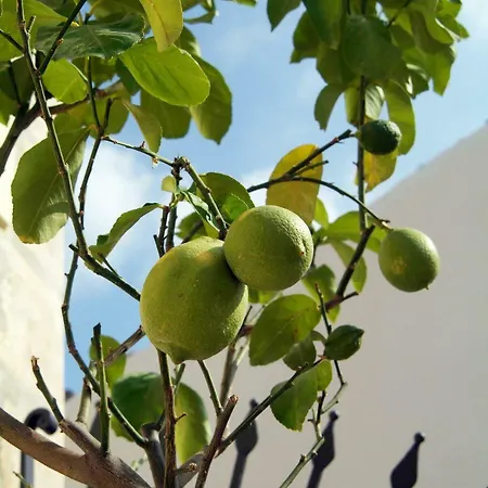 Palazzo Failla 4* Modica